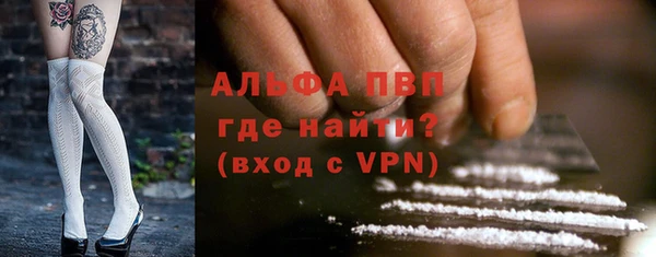 ешки Белокуриха