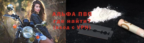 ешки Белокуриха