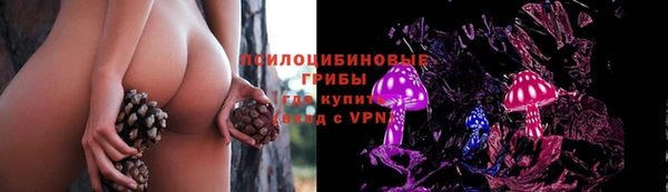 ешки Белокуриха