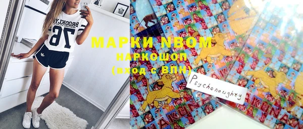 ешки Белокуриха
