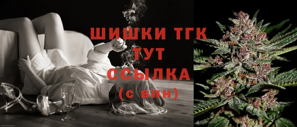 ешки Белокуриха
