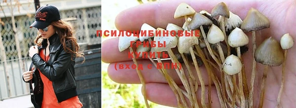 ешки Белокуриха